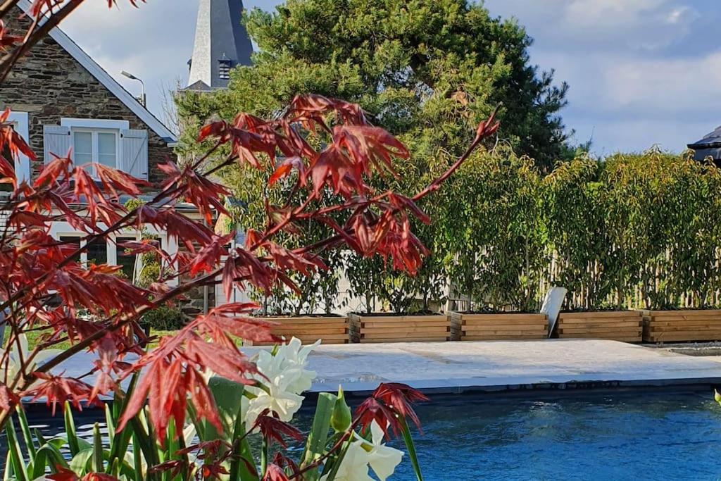 Pine Cottage- 5 Minutes Francorchamps - Charme -Piscine-Calme-Jardin Sart  エクステリア 写真