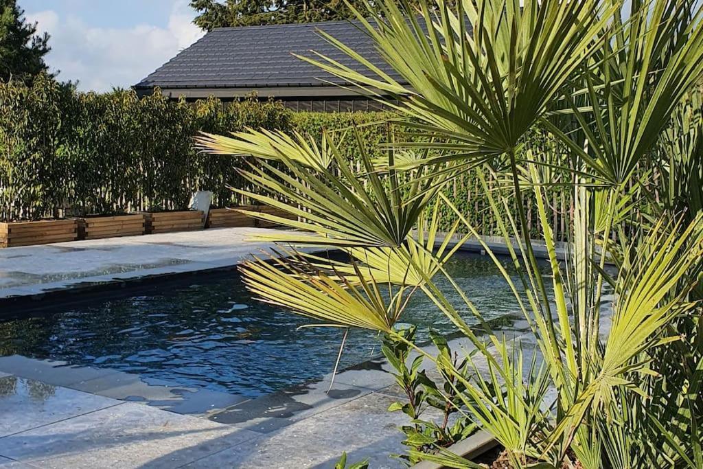 Pine Cottage- 5 Minutes Francorchamps - Charme -Piscine-Calme-Jardin Sart  エクステリア 写真