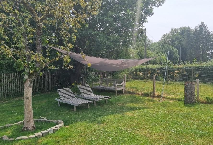 Pine Cottage- 5 Minutes Francorchamps - Charme -Piscine-Calme-Jardin Sart  エクステリア 写真